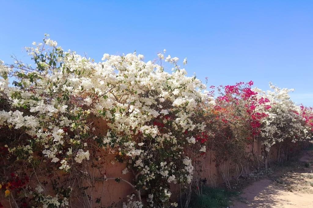 Villa Agora, Villa A La Campagne Proche Marrakech Sidi Abdallah Ghiat Екстер'єр фото