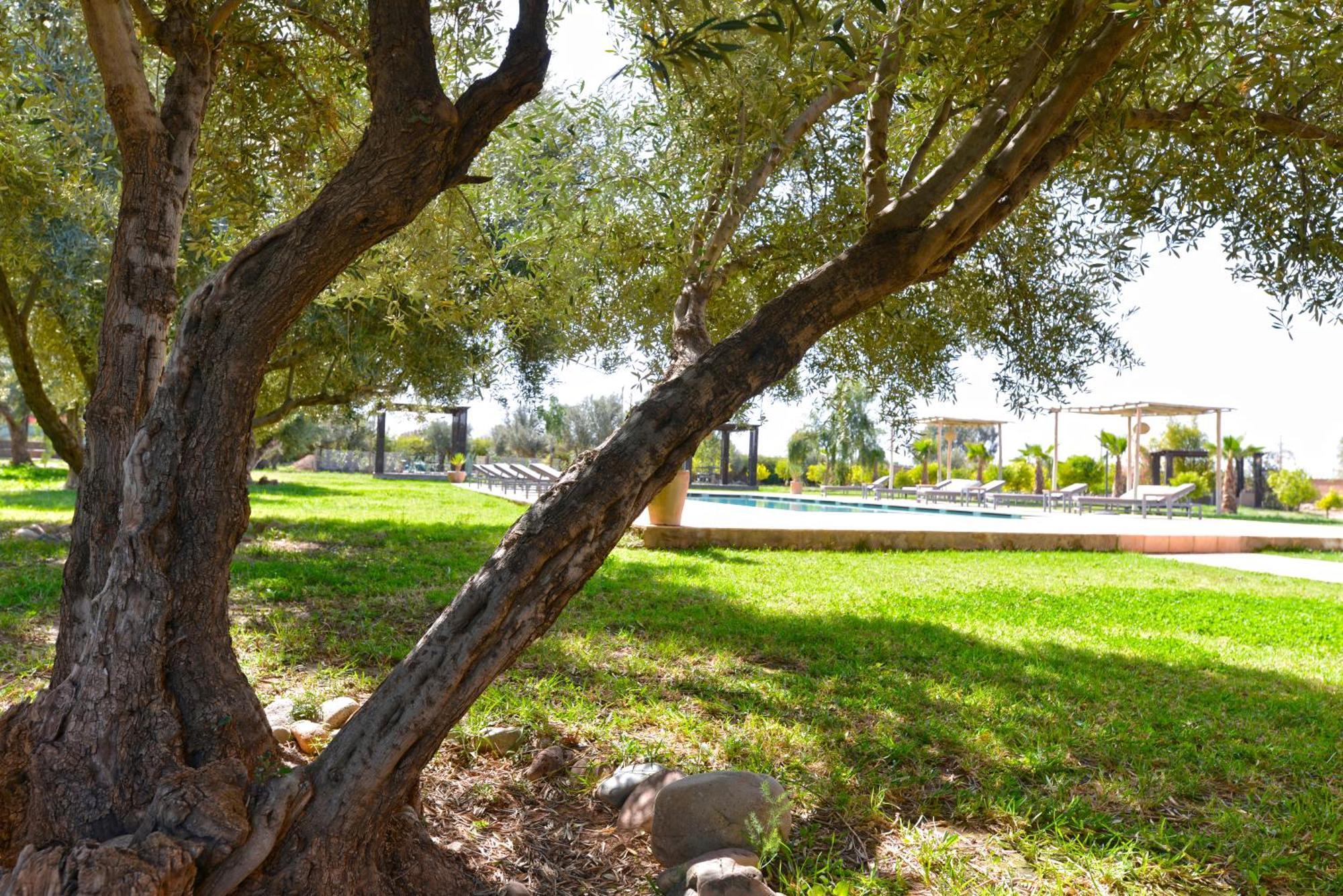 Villa Agora, Villa A La Campagne Proche Marrakech Sidi Abdallah Ghiat Екстер'єр фото